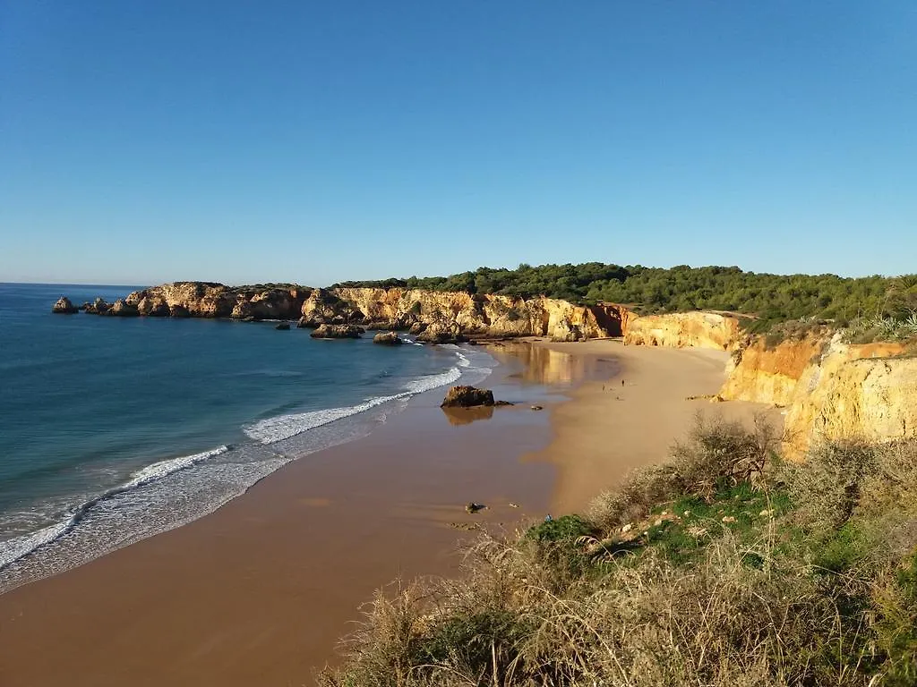 Hotel Alcaide Portimao 3*,