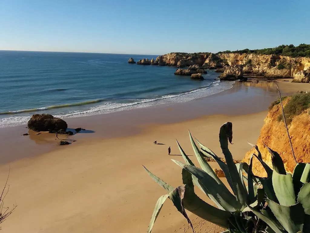 Hotel Alcaide Portimao